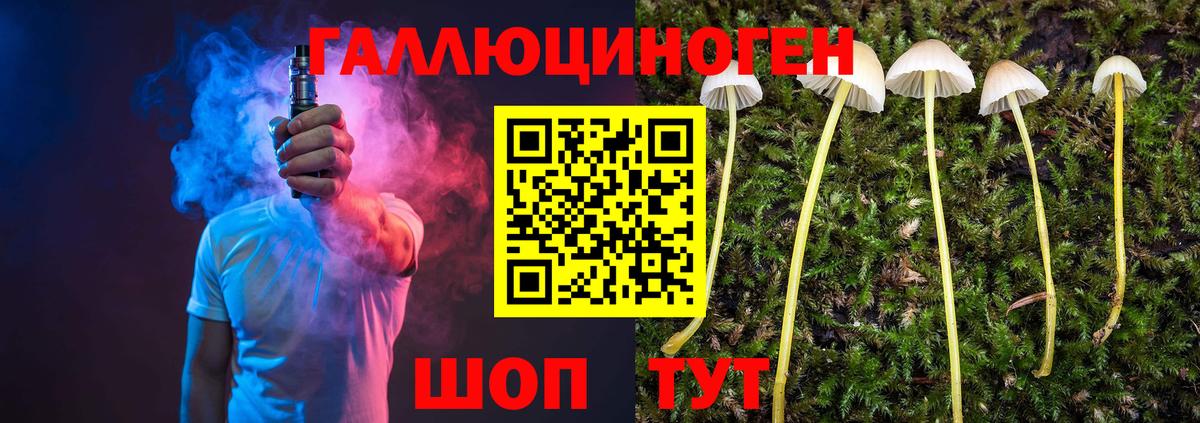 Шахты  Галлюциногенные грибы GOLDEN TEACHER  Вход с VPN 